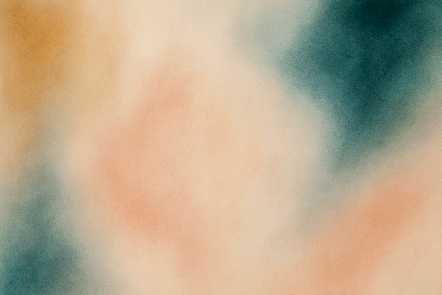 Pretty Functional Co. banner